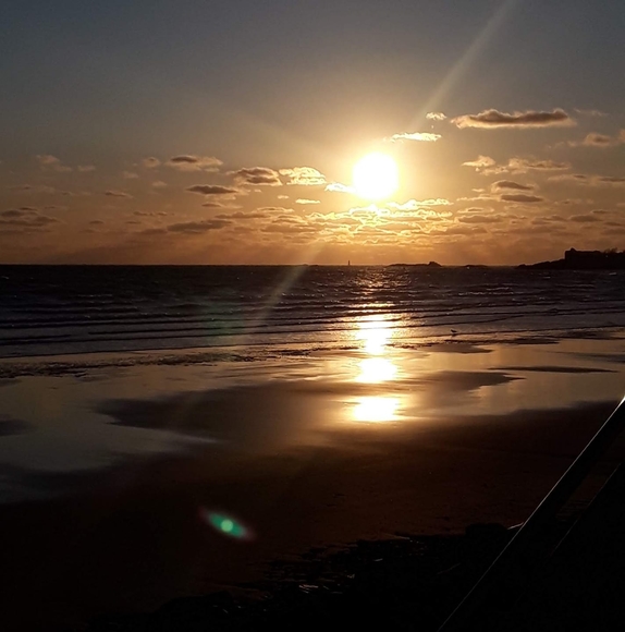 Meet your Posher, Alysa - Picture 1 of 1